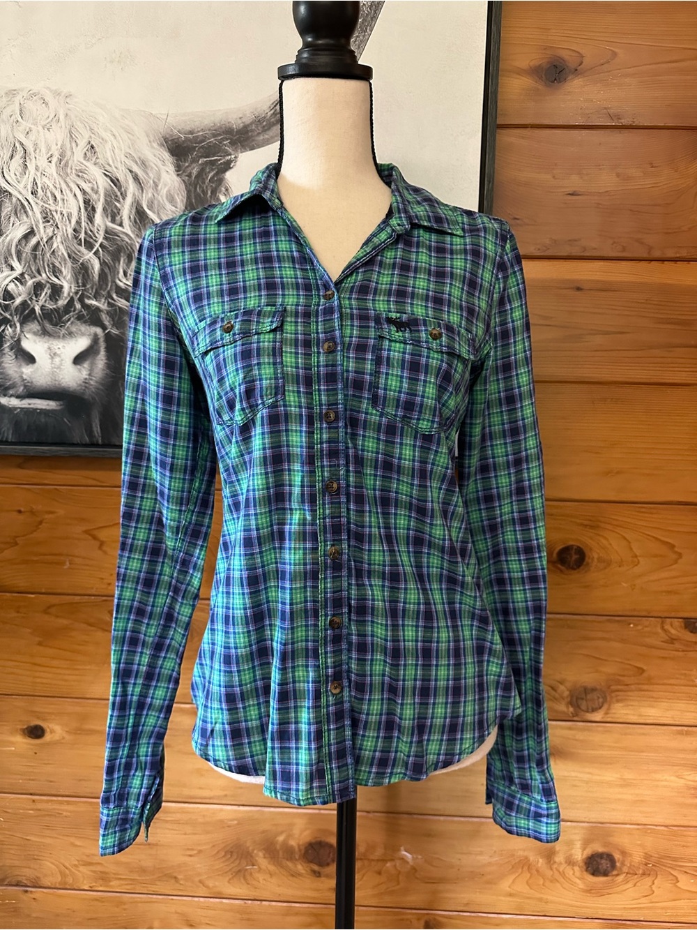 Abercrombie & Fitch Green and Blue Plaid Button-Front Shirt
